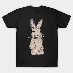 Grumpy Rabbit Holding Middle finger funny gift T-Shirt